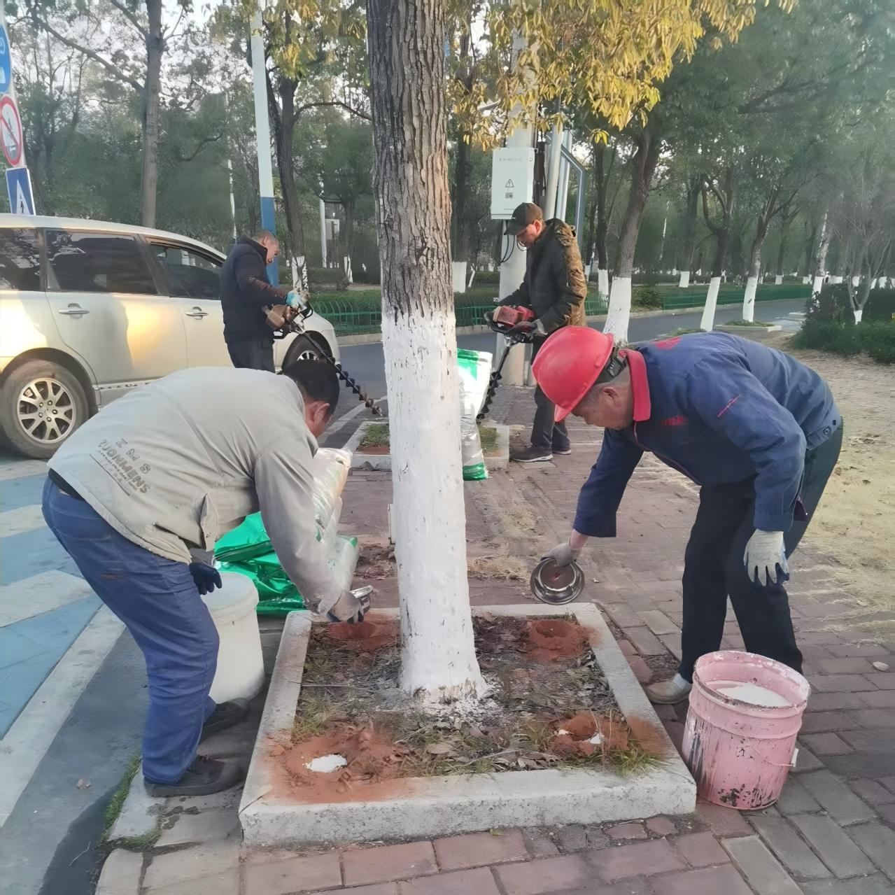 城区道路绿化日常养护(2.9) 精细化管护，守住城市绿脉